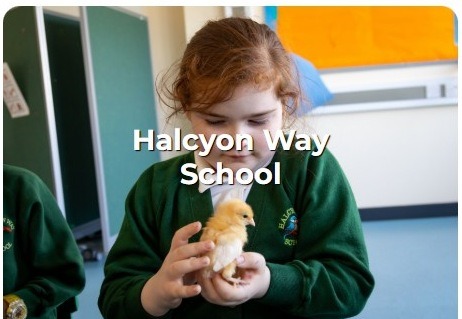 Halcyon Way School pupils