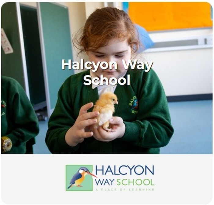 Halcyon Way School admissions card featuring pupils and the school logo